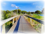 Ciclovia de Mira (Rota das Lagoas e dos Moinhos)