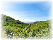Bosque dos Espelhos (San Mart�n del Casta�ar - ESPANHA) 