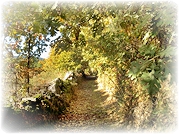 Caminho dos Galegos (Penalva do Castelo)