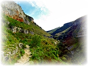 Canh�o do Vale dos Poios (Serra de Sic�)