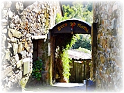 Trilhos de Gondramaz (Serra da Lous�) - Miranda do Corvo