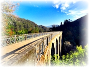 Rota das Laranjeiras (PR3 Sever do Vouga)