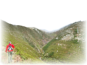Na vereda do pastor (PR3 - Vale de Cambra)
