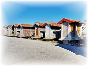 Trilho do Varosa (PR6 - Castro Daire)