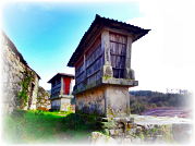 Trilho da Pedra Moura (PR8 - Sever do Vouga)