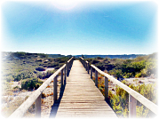 PR1 - Percurso da Praia da Vieira (Marinha Grande)