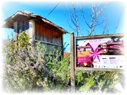 Rota do Quartzo (PR6 - Viseu)