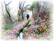 Trilho dos Moinhos (PR9 - Sever do Vouga)