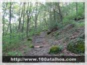 Click na foto para ampliar!
