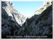 Click na foto para ampliar!
