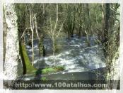 Click na foto para ampliar!